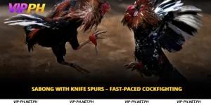 Sabong with Knife Spurs