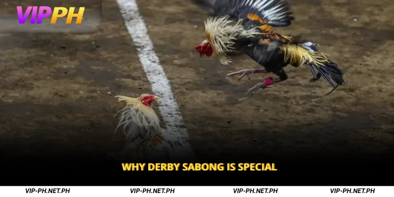 Why Derby Sabong is Special