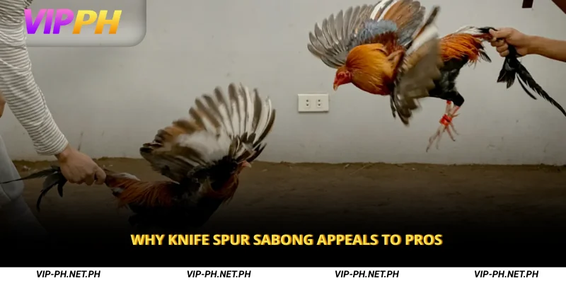 Why Knife Spur Sabong Appeals to Pros