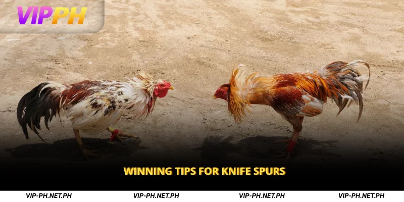 Winning Tips for Knife Spurs